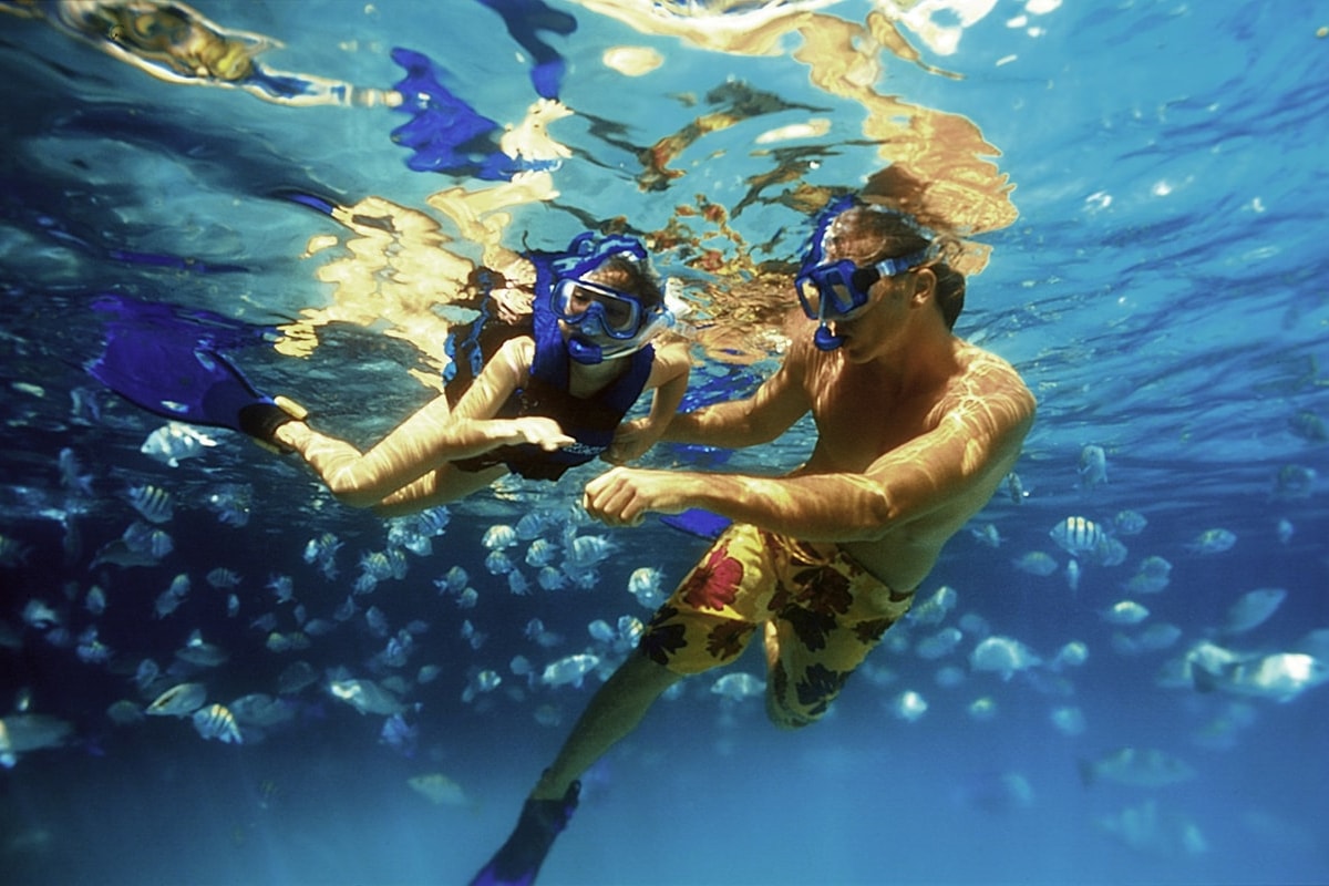Tours Riviera Maya Xel Ha All Inclusive Eco Waterpark Excursion Tours Riviera Maya Xel Ha All Inclusive Eco Waterpark Excursion
