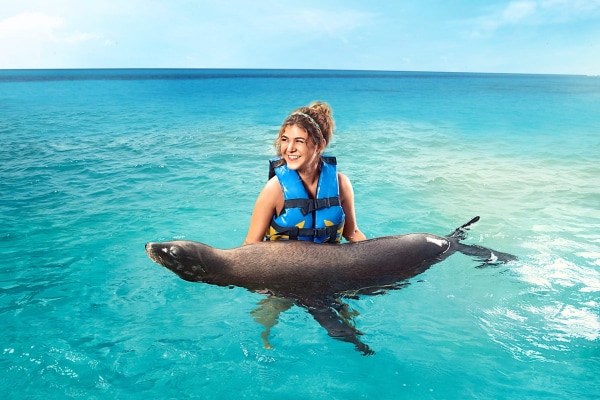 Dolphin Royal Connection - Puerto Aventuras