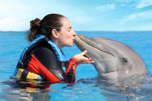 Dolphin Connection - Puerto Aventuras