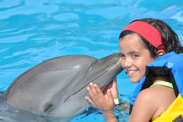 Dolphin Royal Connection - Puerto Aventuras