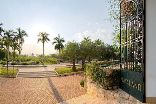 Chichén Itzá with Private Guide and Transportation