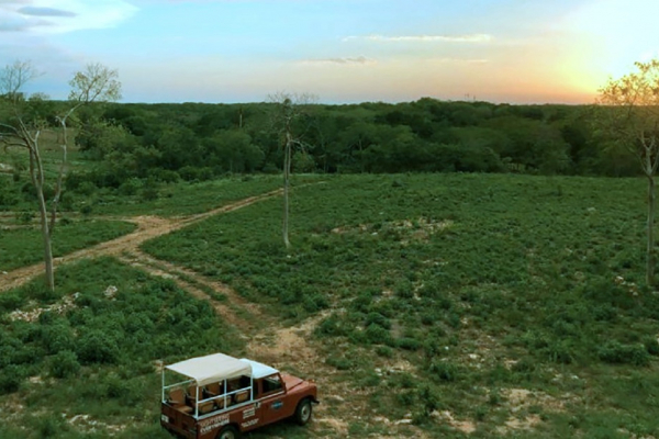 Sunrise in the Old Hacienda Overlooking Uxmal.