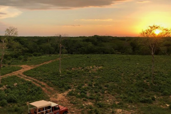Sunset in the Old Hacienda overlooking Uxmal