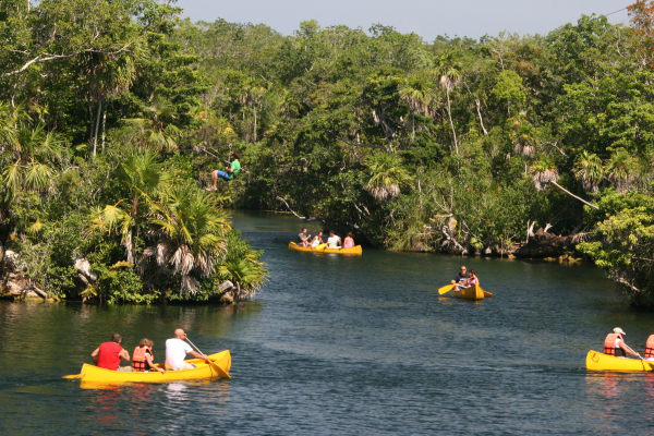 Tankah Cenotes and Zip Line Adventure - Private Tour