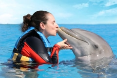 Dolphin Swim Adventure - Puerto Aventuras