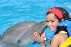 Dolphin Royal Swim - Puerto Aventuras