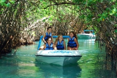 Jungle Adventure Tour