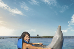 Dolphin Encounter - Isla Mujeres