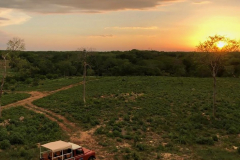 Sunset in the Old Hacienda overlooking Uxmal